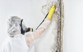 Best HVAC Mold Inspection and Cleaning  in Victor, ID